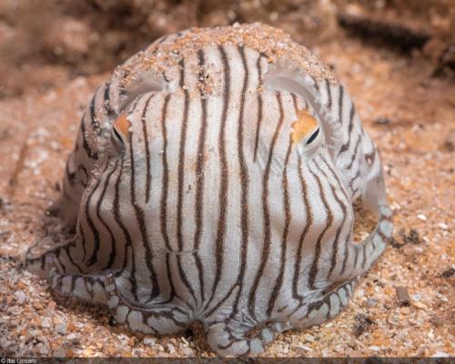 FC34DBEC-EC39-4DBE-8099-702A10E22B22