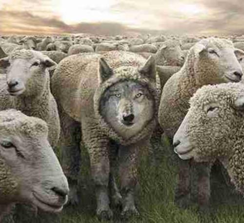 50D2A1F0-9877-4AF8-8FBD-AE84D9243206