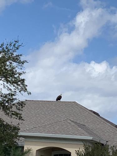 97865B7C-DC6B-4E05-93F1-61F6FA935721