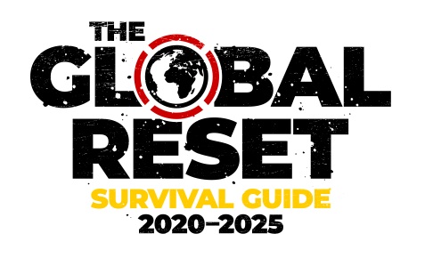 52357225-0-The-Global-Reset-Sur