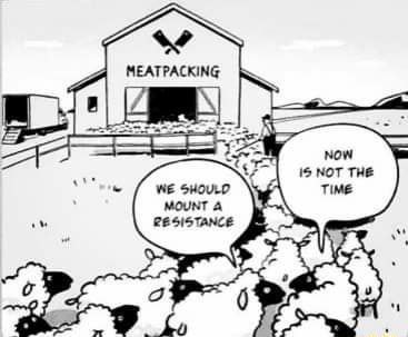 IMG_20220222_201637_579