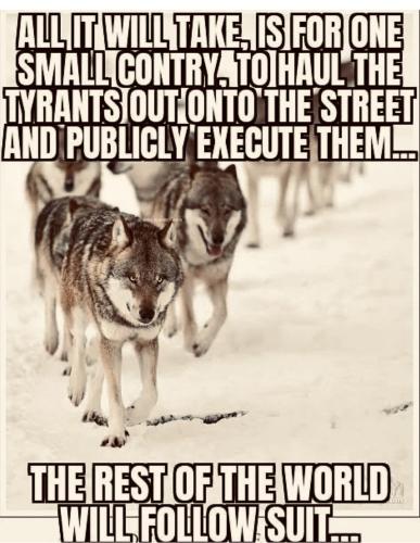 7D4C391B-F2AB-4297-8DFD-DCCB84255CD1