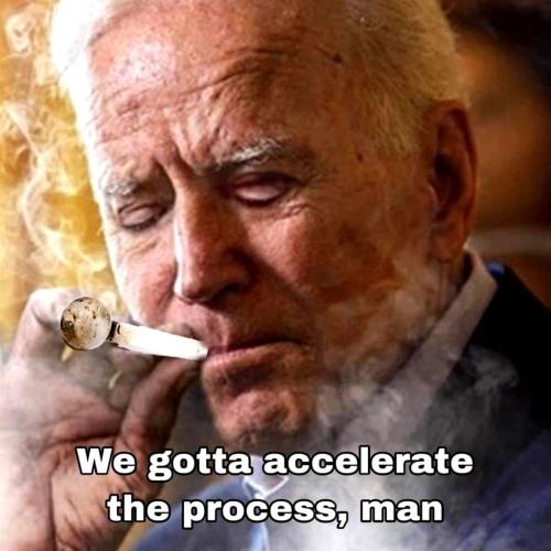 Biden ~Like Son Like Father~