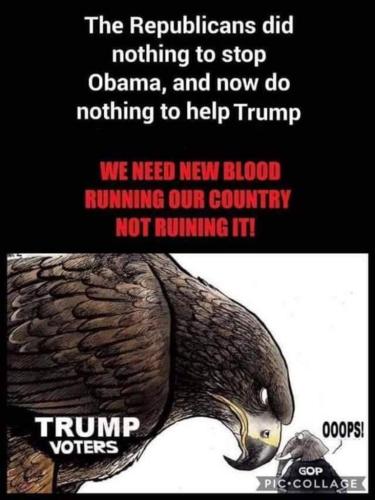 8398233a9194d8e25a6a262e3e983d58_500x0