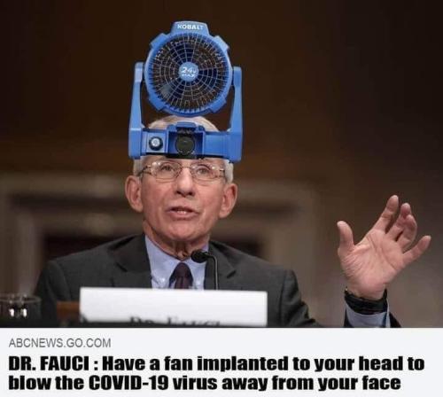 fanhead fauci