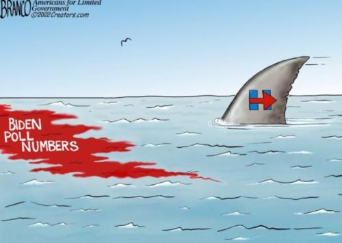 Branco-blood-in-the-water