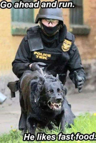 273146508_4826590637426038_4212495502453606690_n