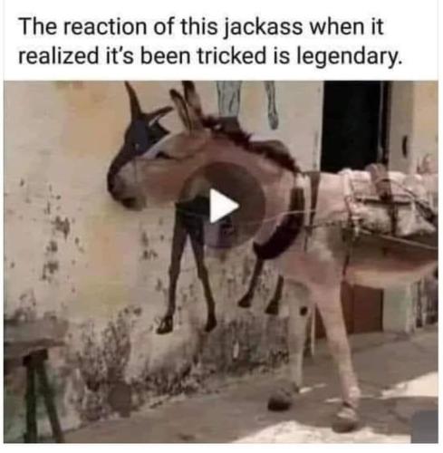 FB_IMG_1644292011532