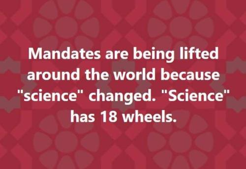 FB_IMG_1644814812205