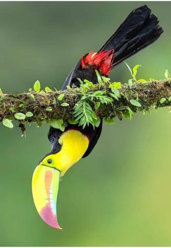 90763DFF-6FB0-4B25-B579-75A94A5AFDAB