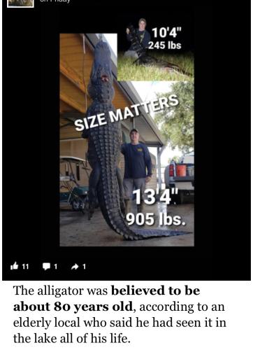 9C0C6030-2E12-44B1-8D3C-4FFDA4BE34D9