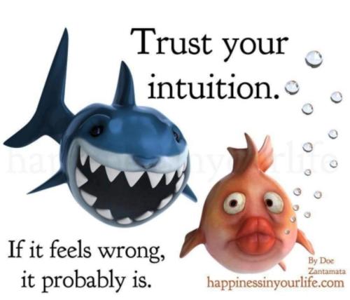 Screenshot_20220221-094246_MAGA Hub