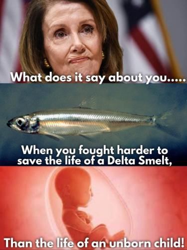 Delta Smelt