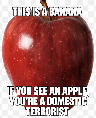 B28E94EE-9512-41A2-85F7-91A66AC25991