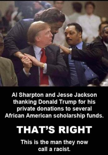 77fbf889e54bbaf663778cdc04a690d3_500x0