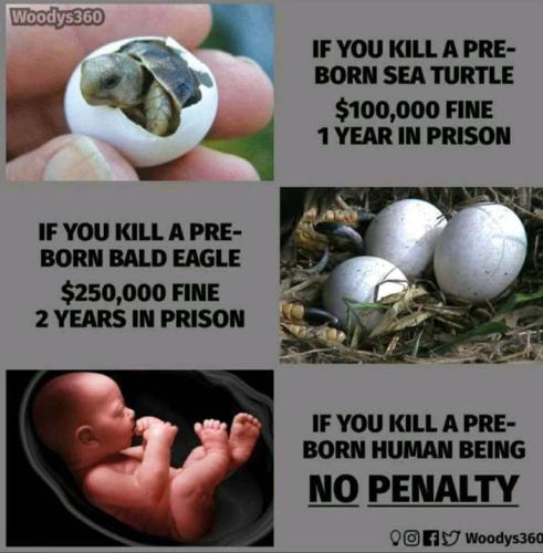 M pre-born