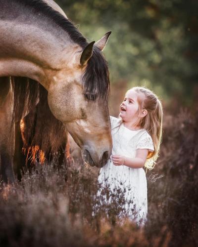 60D1A11E-5E91-489B-A26F-4AB9A60253F0