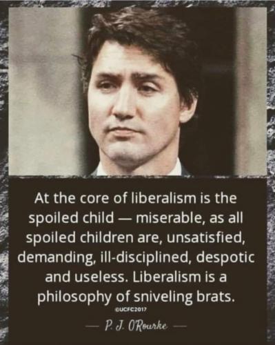 xephula_cc55b9b29b71c33173db198d56de7768