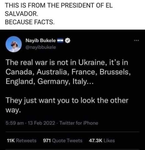 photo_2022-02-28_10-11-27