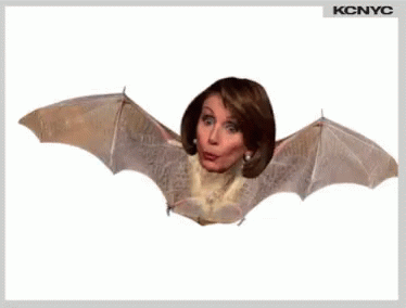 pelosi 4