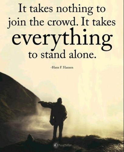 118a7a9938f7e183a3d0d32859068281_500x0