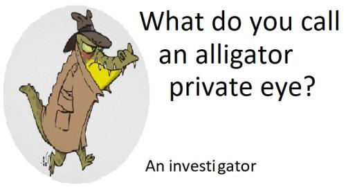 20220225 Investi-gator