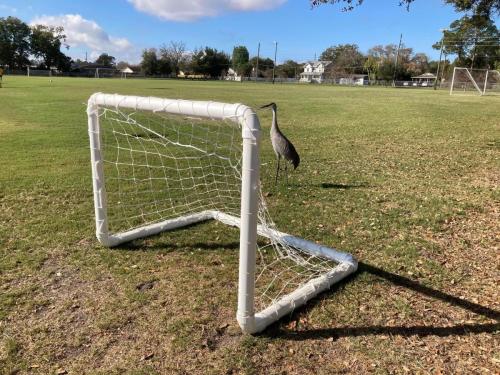 67D884C2-0DAC-4972-8465-33778076F6F1