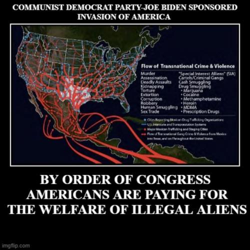 AMERICANSPICKINGUPTHETABONBIDENSSPONSORSHIPOFILLEGAALIENINVASION