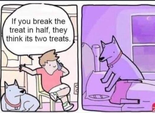 2treats