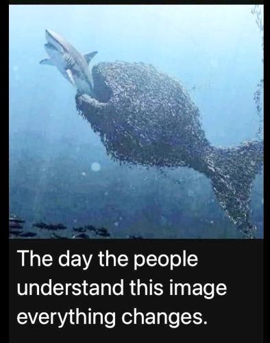 IMG_20220203_155500_730