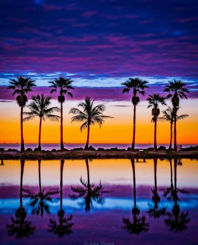 AE7AA28C-0582-45A1-8A55-30ACD981CDFD