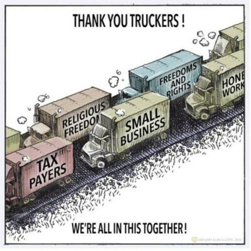 5ea91363a6045519b8ae66558523cb37_500x0