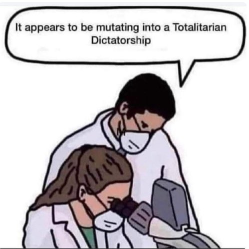 121