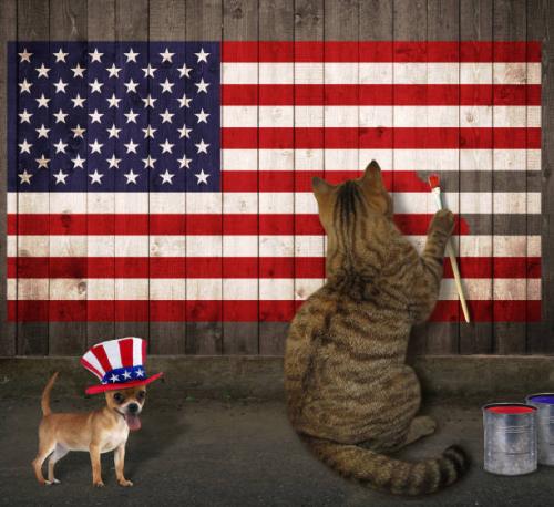 F131D8C4-0D0F-4337-826D-9BDCDBDACC3E