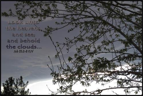 Look unto the heavens and see