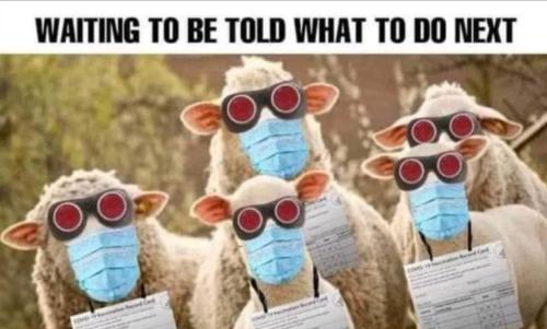 photo_2022-02-25_18-33-54