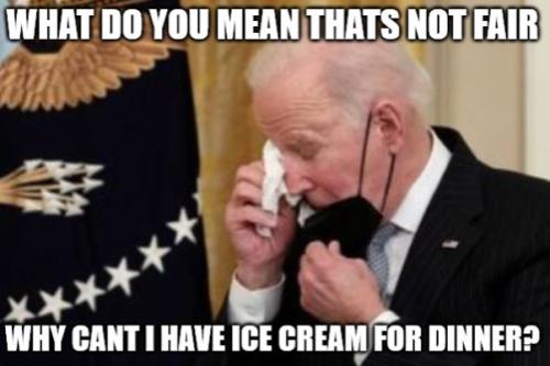 bidenbozoupsetnoicecream
