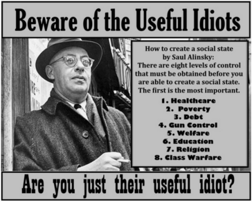 Useful Idiots