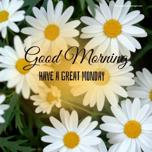00F568BB-7111-40F9-BC8B-42D3C9AB7316