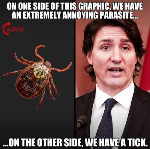 photo4940486591688845966