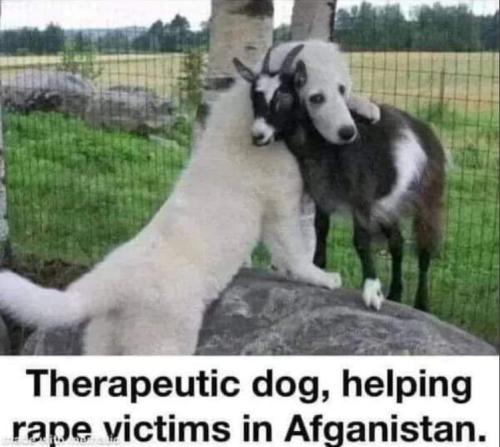 bidenmuslimrapevictims