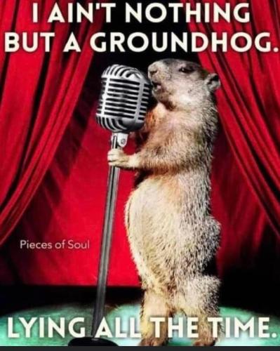Elvis Ground Hog