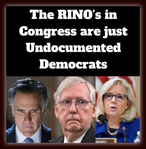 RINOS 2