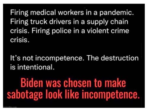 image_1644171842.842