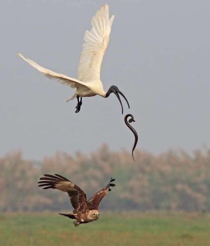 B568E35D-35A1-4E2E-9133-90F841873EC0