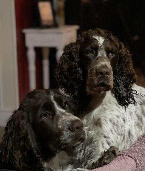 2BDD07C4-2E1B-4143-ABA3-96F22D1FC18C