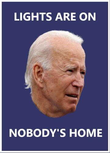 BIDEN-LIGHTS ON