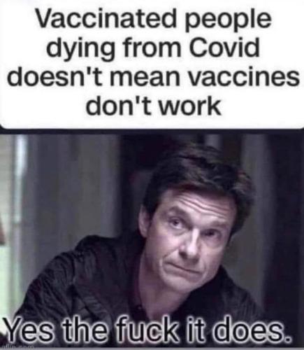 7f54d32b2e6df04ece340308b39b50e6_500x0