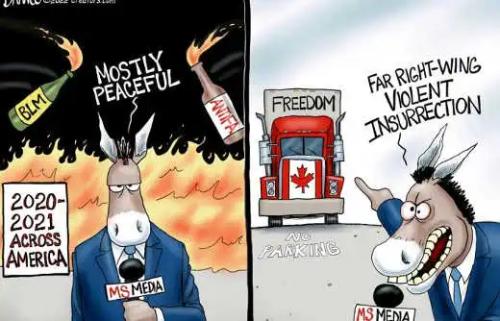 img - 2022-02-12T110715.511