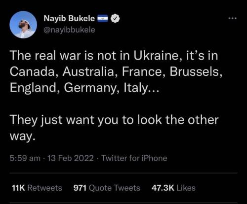 photo_2022-02-13_22-17-11